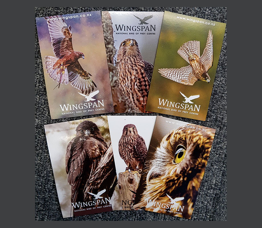 Wingspan magnet pack