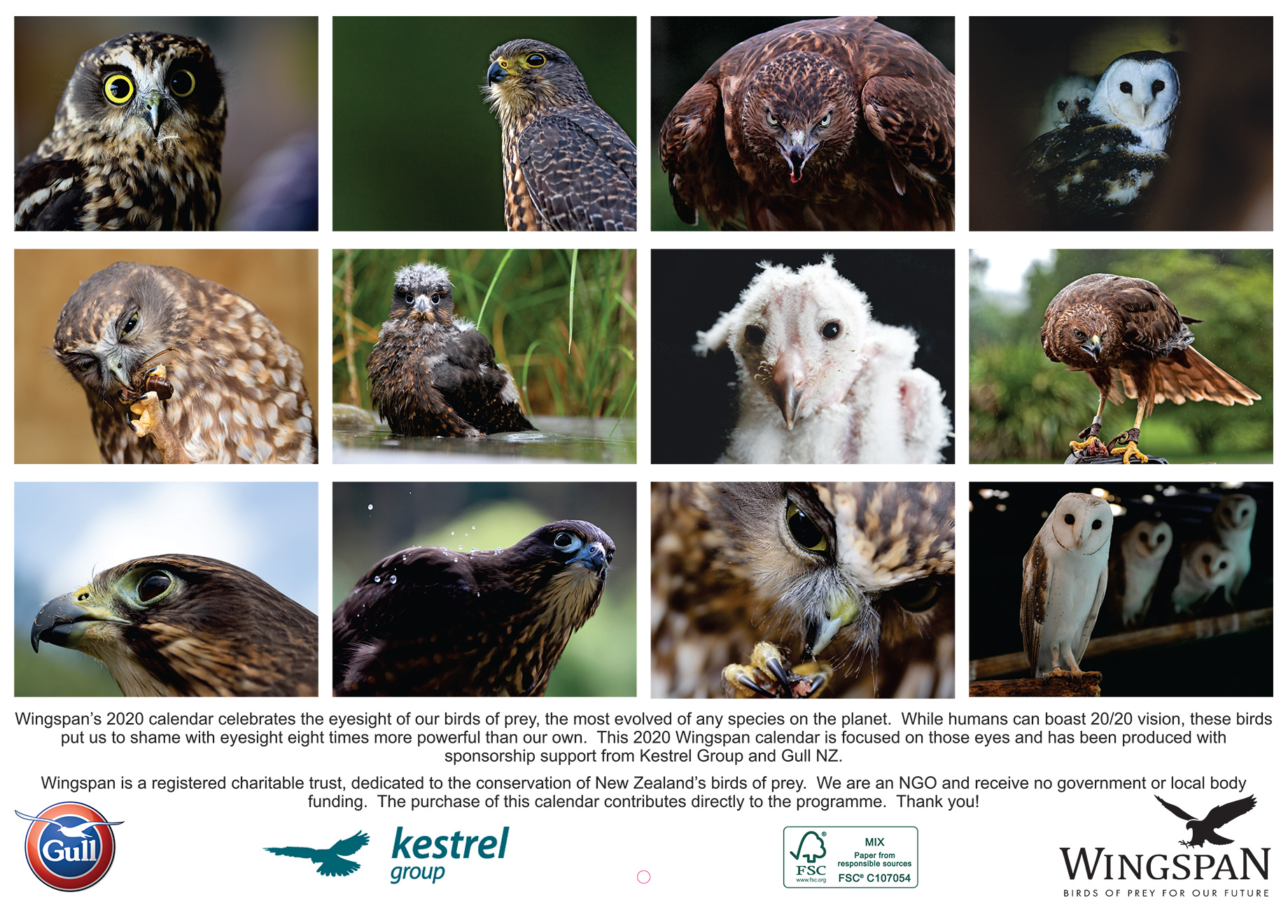 2020 Wingspan Bird of Prey Calendar