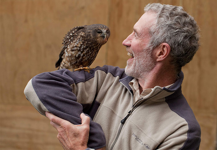 Wingspan Ruru Morepork Owl Meet and Greet