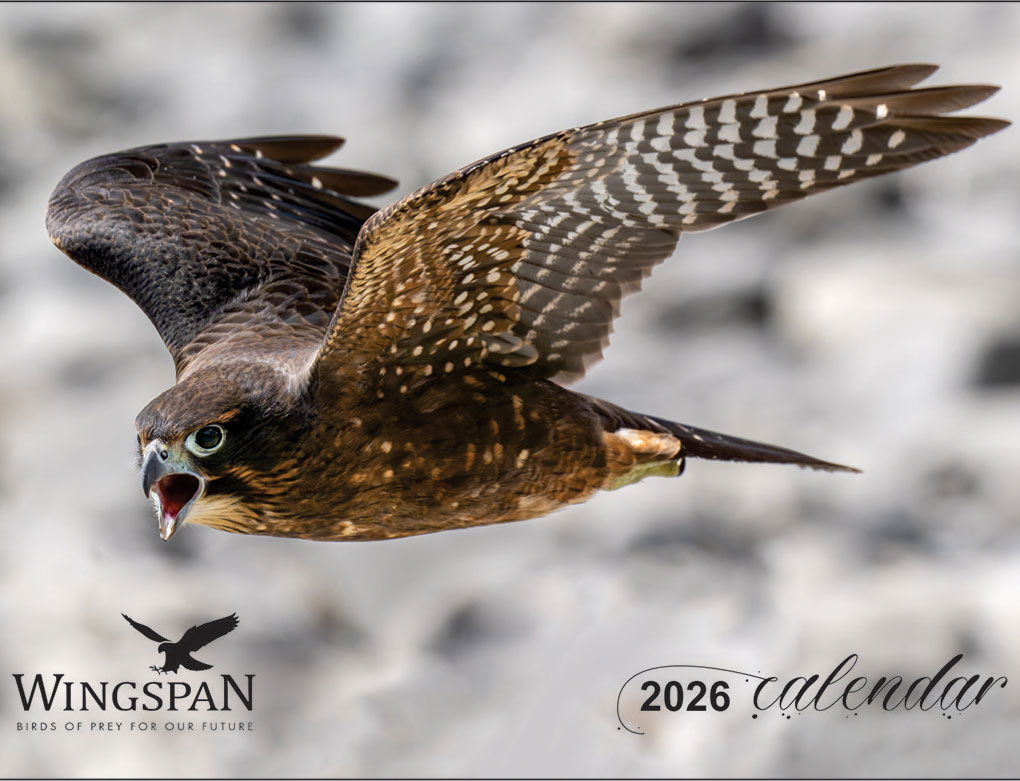 Wingspan 2026 Birds of Prey Calendar