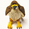Koha the New Zealand falcon 'kārearea'