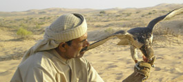 Our falconry heritage