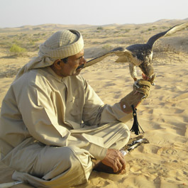 Our falconry heritage