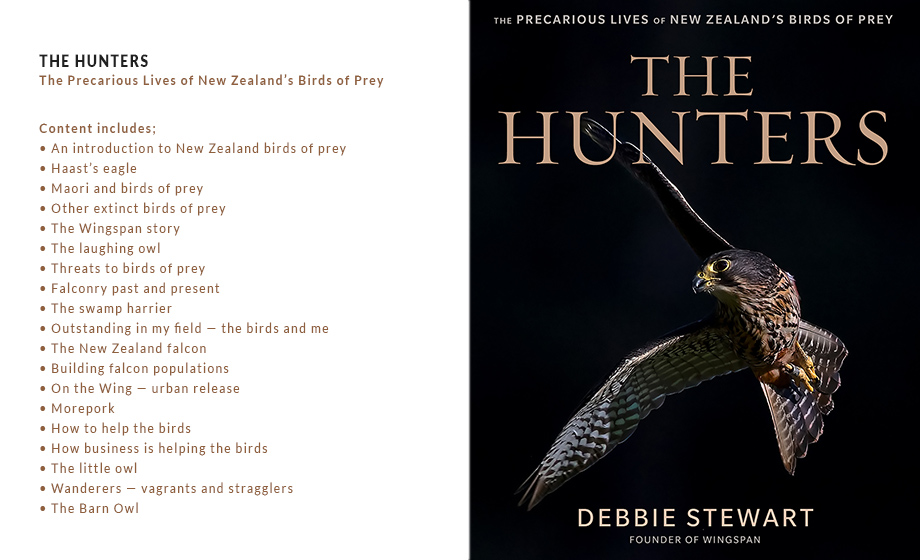 limited edition canvas print - morepork