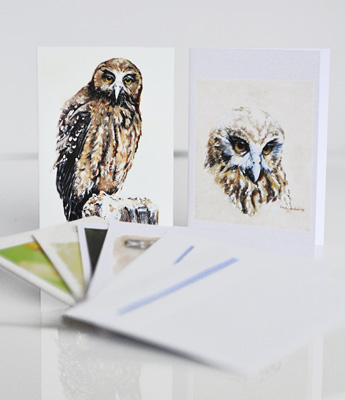 morepork gift card packs