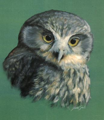 morepork limited edition print