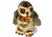 plush soft toy morepork