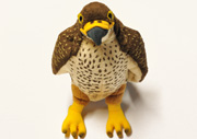 soft toy - falcon