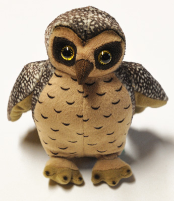 soft toy - morepork owl