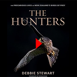 watch the Wingspan video