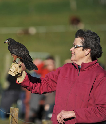 Wingspan gift admission voucher