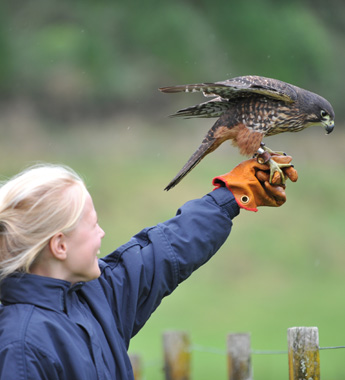 child gift admission voucher