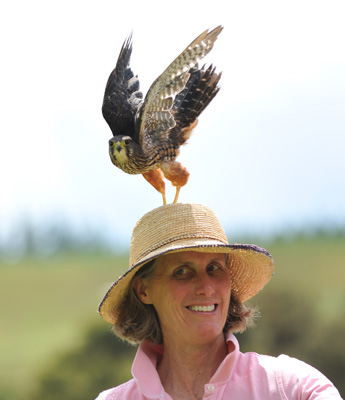 Adult Wingspan gift admission voucher