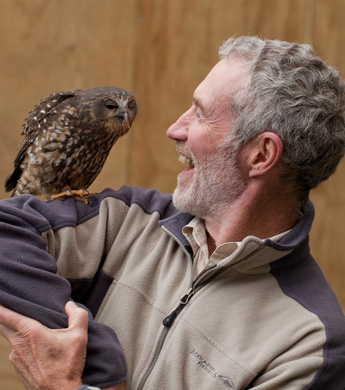 Adult Wingspan gift admission voucher