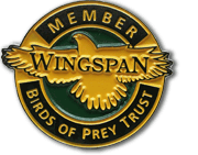 Wingspan membership pin