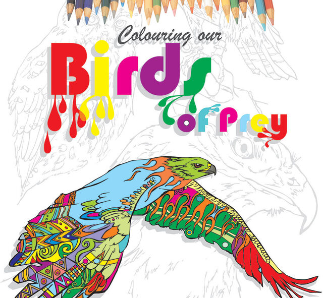 Wingspan Colouring Our Birds of Prey